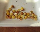 干からびているギンナンの再生作り方1写真