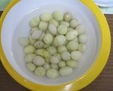 干からびているギンナンの再生作り方2写真