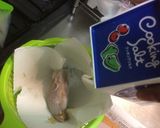 イカの塩辛作り方6写真