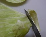 絶品！キャベツと白菜の手作り餃子♪作り方1写真