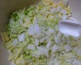 絶品！キャベツと白菜の手作り餃子♪作り方7写真