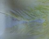 ☆ロール白菜☆作り方3写真