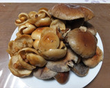 開きナメコ、栗茸と里芋の味噌煮・田舎風作り方2写真