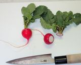 誰でも作れる簡単なラディッシュの飾り切り作り方1写真