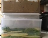 【秩父名産】しゃくし菜のお漬け物作り方4写真