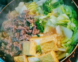 白菜と厚揚げのコストコプルコギすき焼き風作り方3写真