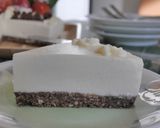 はちみつのレアチーズケーキ作り方20写真