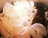 簡単!ふろふき大根作り方3写真