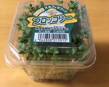 簡単節約しっとり鶏ムネ肉でサラダチキン作り方12写真