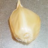 なんだチミは？そうです！私がチミチュリソースです作り方1写真