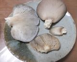 ヒラタケの味噌焼きキノコ・うんまいぞう！作り方2写真