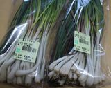 島らっきょの塩漬け作り方1写真