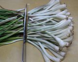 島らっきょの塩漬け作り方3写真