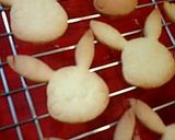 クッキーのデコレーション【アイシング】２作り方1写真