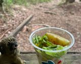 アウトドアサラダうどん作り方10写真