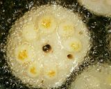 蓮根のえびすり身詰め作り方5写真
