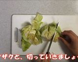 絶品！牛モツ鍋（下処理～ダシまで簡単）作り方2写真