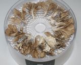 簡単☆乾燥きのこと海藻海鮮の薬膳茶碗蒸し作り方5写真