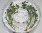 簡単☆乾燥きのこと海藻海鮮の薬膳茶碗蒸し作り方14写真