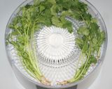 簡単☆乾燥きのこと海藻海鮮の薬膳茶碗蒸し作り方13写真