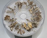 簡単☆乾燥きのこと海藻海鮮の薬膳茶碗蒸し作り方6写真