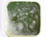 大葉のグラニテ作り方3写真