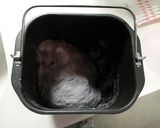 ふわふわもちもちブルーベリーパン作り方2写真