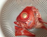 金目鯛の煮付け(かぶと煮)作り方3写真