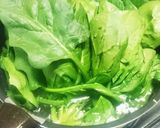 蒸して栄養満点＆大量。離乳食ストック。作り方3写真