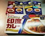 インド的カレー作り方2写真
