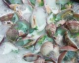 あさり柚子香る酒蒸し作り方5写真