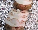椎茸塩焼き柚子がけ作り方2写真