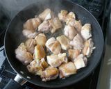 鶏肉の中近東風煮込み作り方1写真