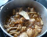 鶏肉の中近東風煮込み作り方4写真
