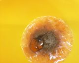 山藥香菜炒飯(山芋とパクチーチャーハン)作り方3写真