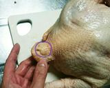 ローストチキン用 丸鶏の下処理〜ブライン作り方4写真
