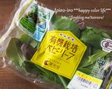 おもてなしに♪絶品★白身魚のカルパッチョ作り方1写真