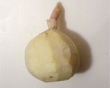 くわいの炊き込みご飯作り方3写真