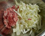 簡単★豚肉とキャベツのカレー春巻き作り方1写真