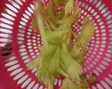 アサリとセロリのスープ作り方4写真