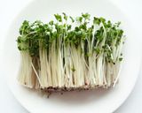 ブロッコリースプラウトと豆腐干絲のサラダ作り方4写真