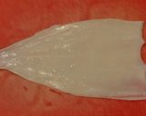 drtomのイカ刺ーアニサキス対策作り方1写真