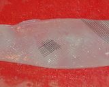 drtomのイカ刺ーアニサキス対策作り方4写真