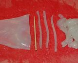 drtomのイカ刺ーアニサキス対策作り方5写真