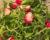 豆苗の素朴サラダ作り方1写真