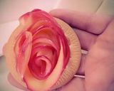 かんたん!巻きバラのミニアップルパイ作り方5写真