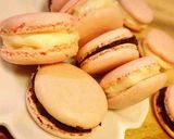 ❄︎フレジェ風❤️簡単チーズケーキ❄︎作り方11写真