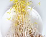 緑豆スプラウト　もやしのサラダ作り方4写真