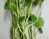 わさびの新芽の酢の物作り方2写真