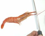 簡単エビ煮物♪お正月お節料理・海老下処理作り方2写真